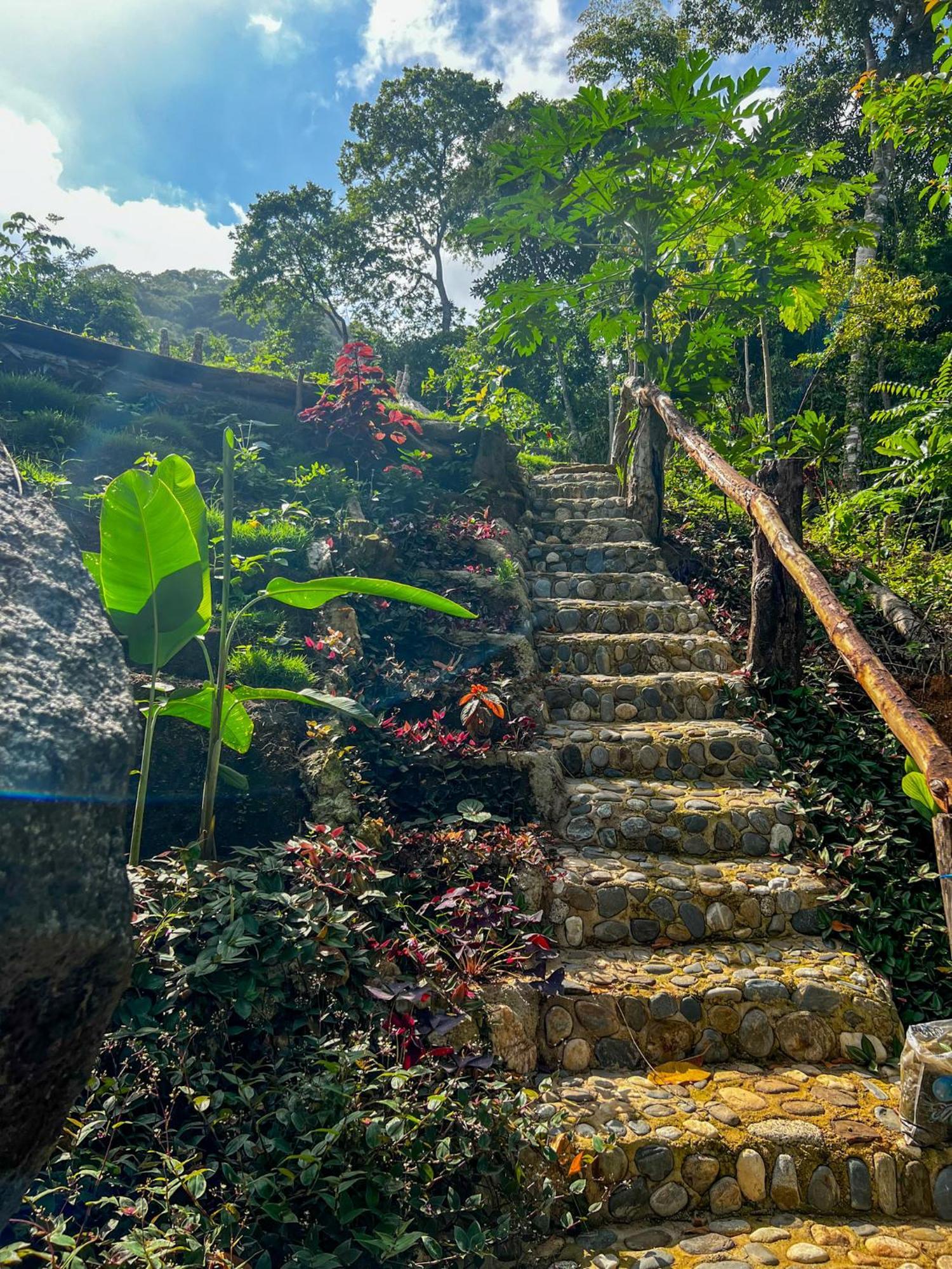 Hostal Paraiso Tayrona Kogui Los Naranjos Zewnętrze zdjęcie